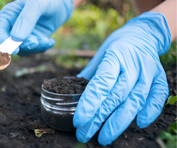 Soil Investigation Bores